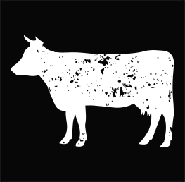 La Vaca Negra