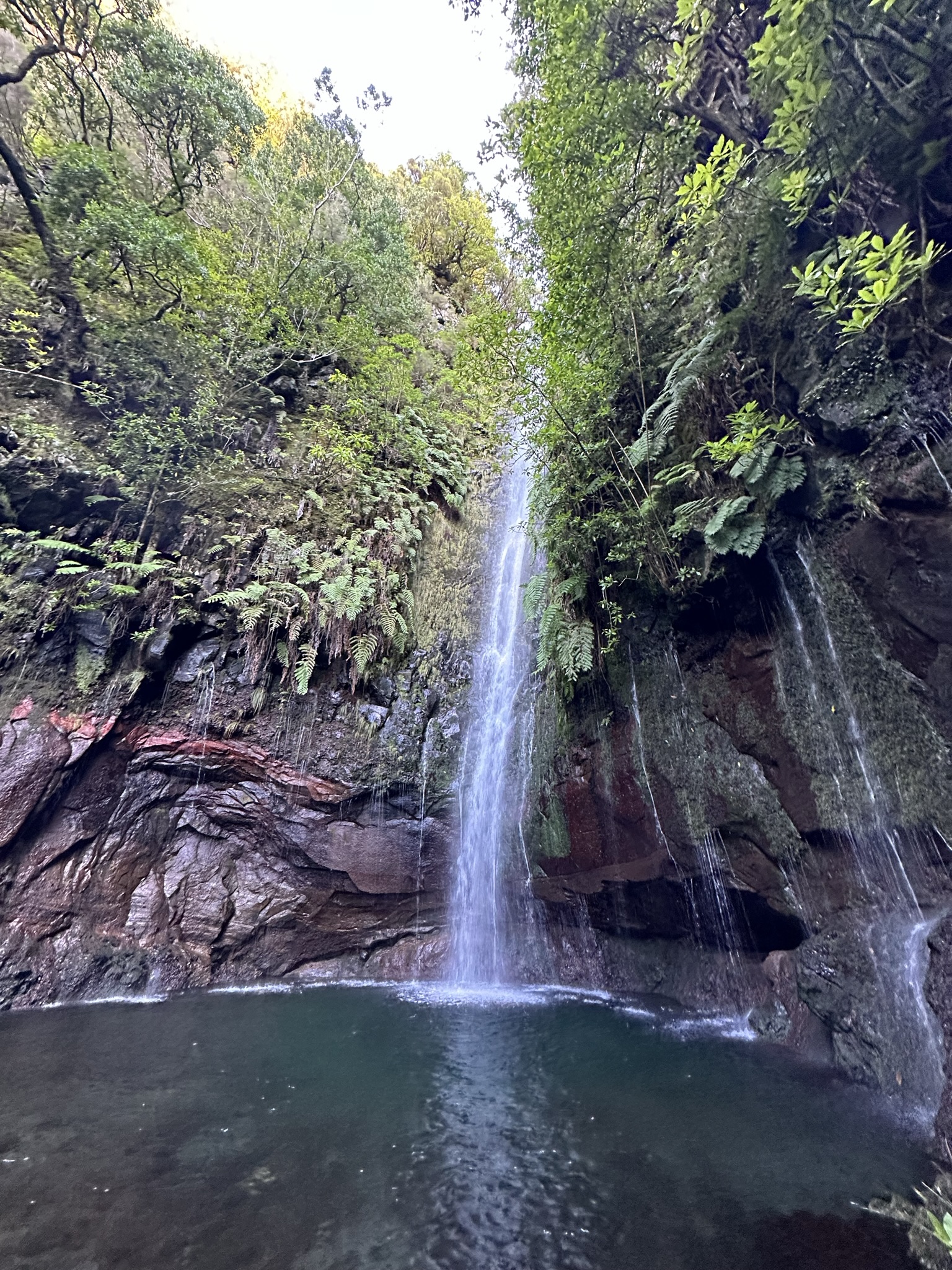 PR 6 - Levada das 25 Fontes in Calheta - Outdoor & Adventure showing the main attraction and surrounding landscape (image 1 of 2)