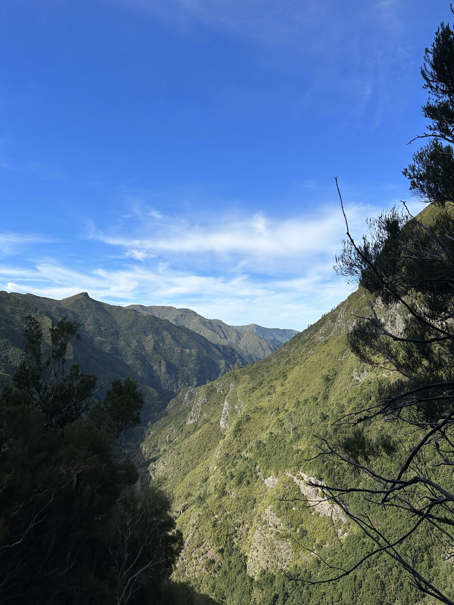 PR 6 - Levada das 25 Fontes