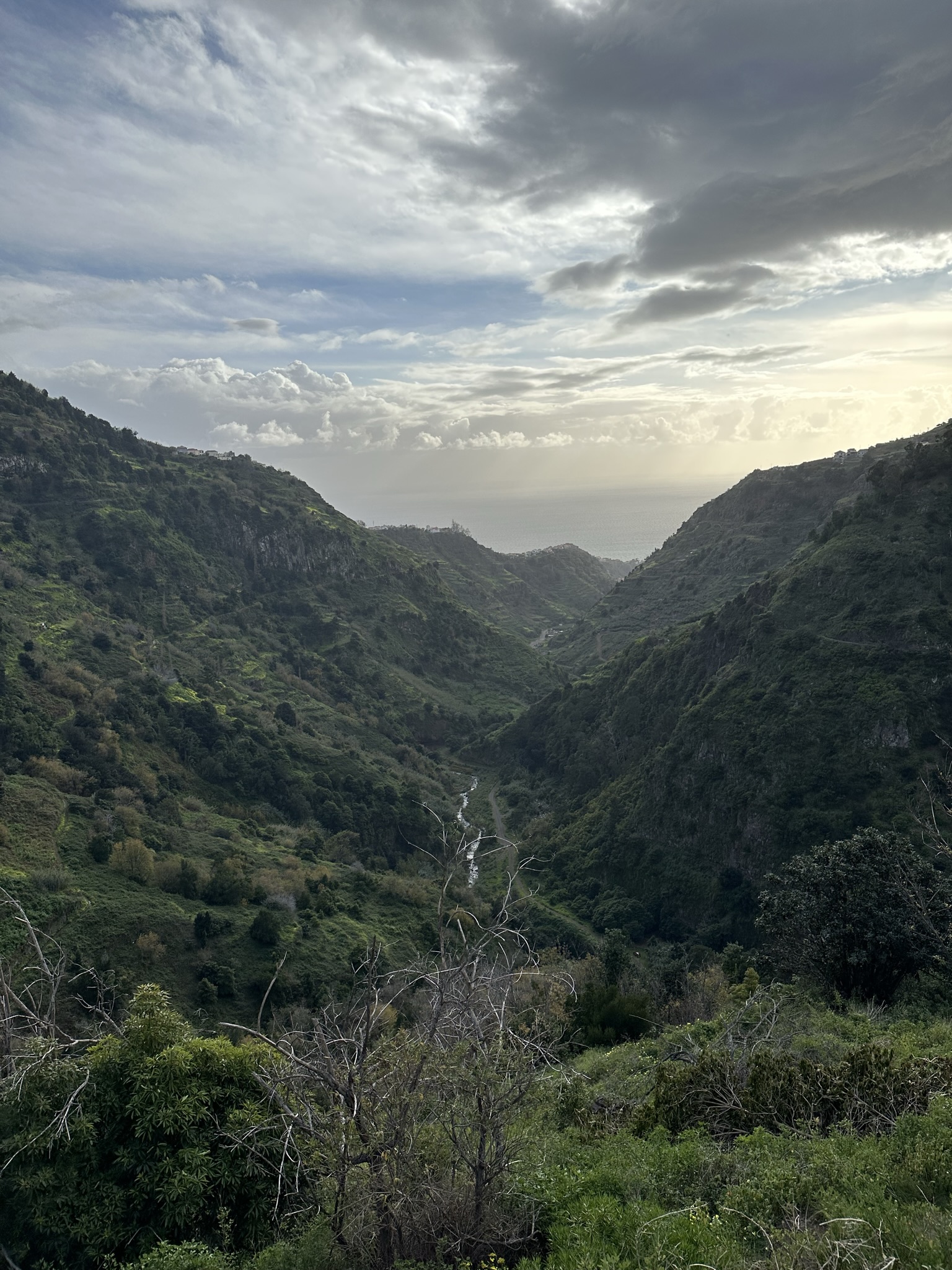 PR 7 - Levada do Moinho in Madeira - Outdoor & Adventure showing the main attraction and surrounding landscape (image 1 of 3)