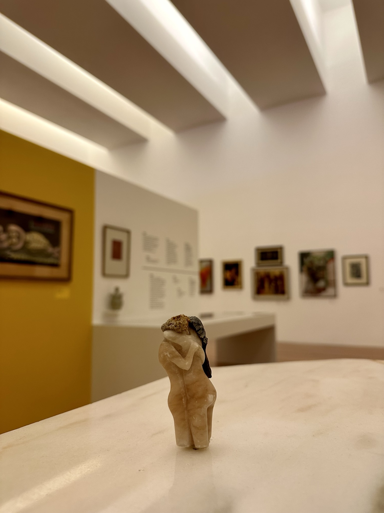 Museum of Contemporary Art - MUDAS