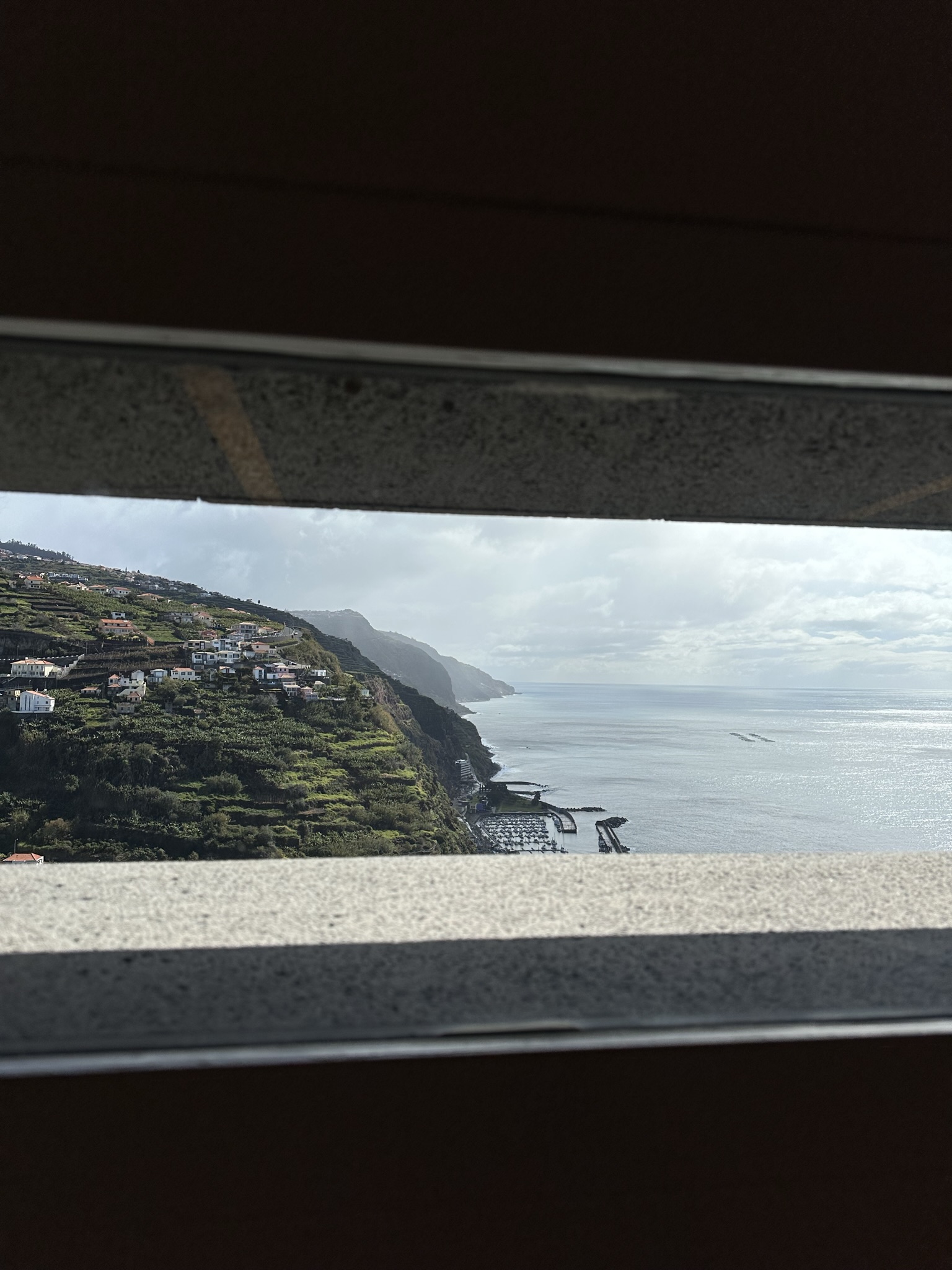 Museum of Contemporary Art - MUDAS