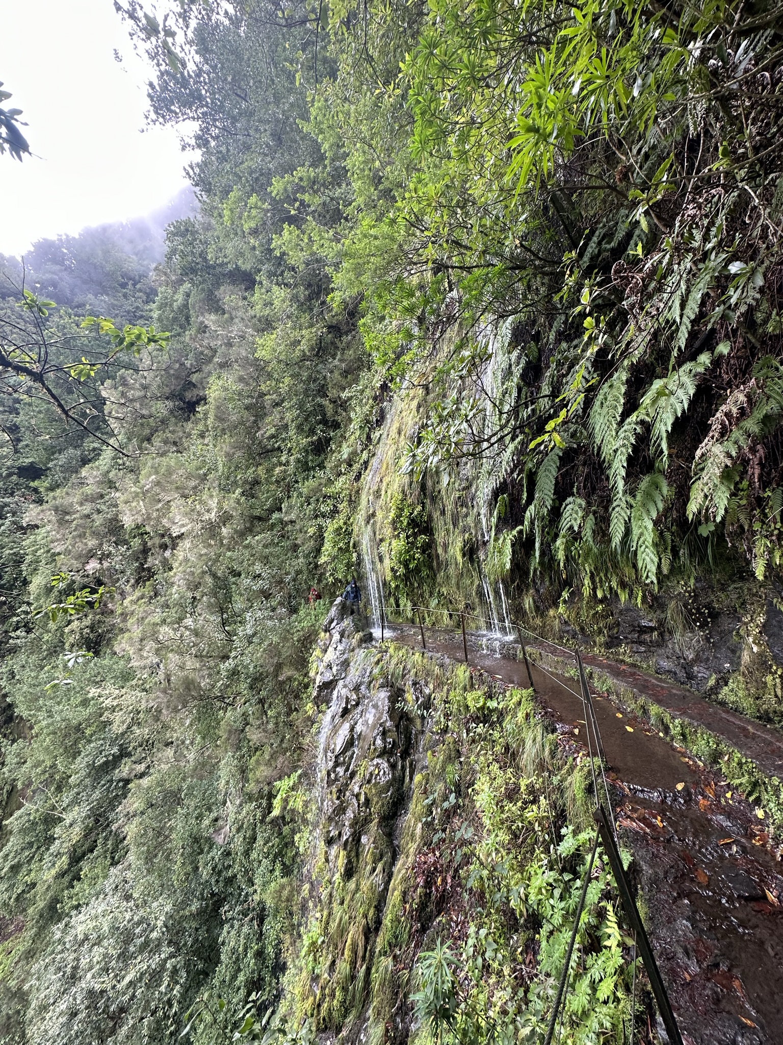 PR 9 - Levada do Caldeirão Verde in Madeira - Outdoor & Adventure showing the main attraction and surrounding landscape (image 1 of 2)