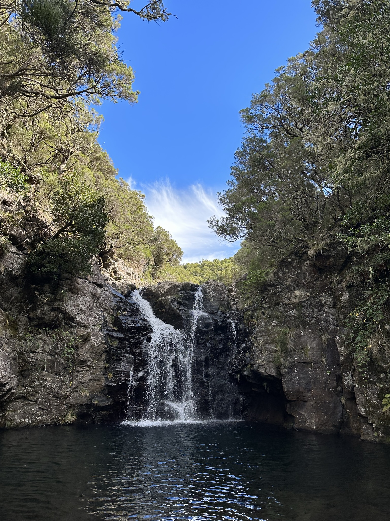 PR 6.2 - Levada do Alecrim