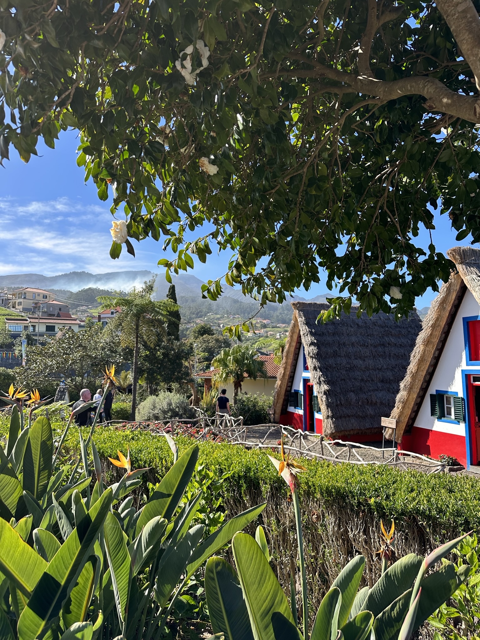 Casas Típicas de Santana in Santana - Arts & Culture showing the main attraction and surrounding landscape