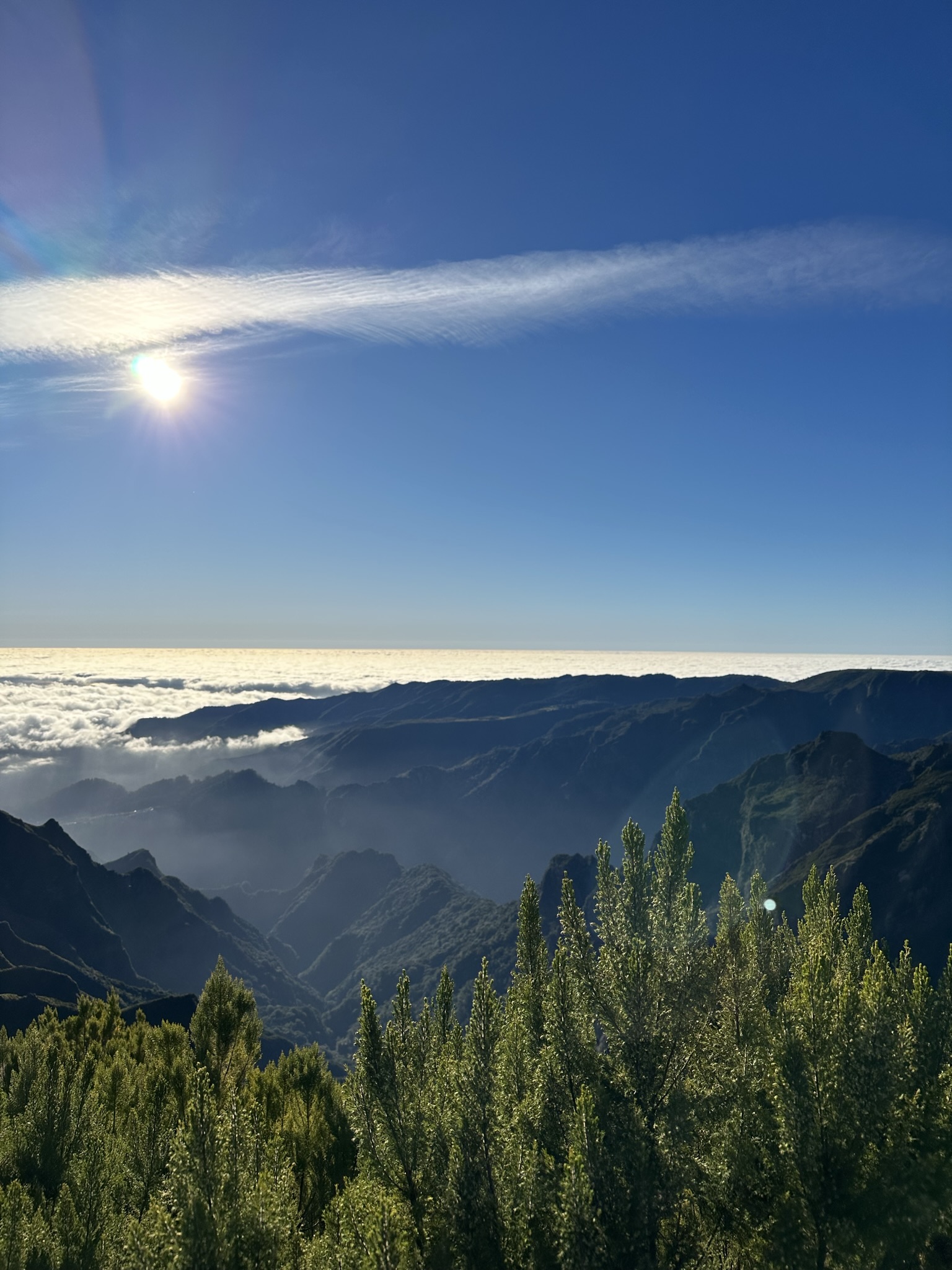 PR 1.2 - Vereda do Pico Ruivo