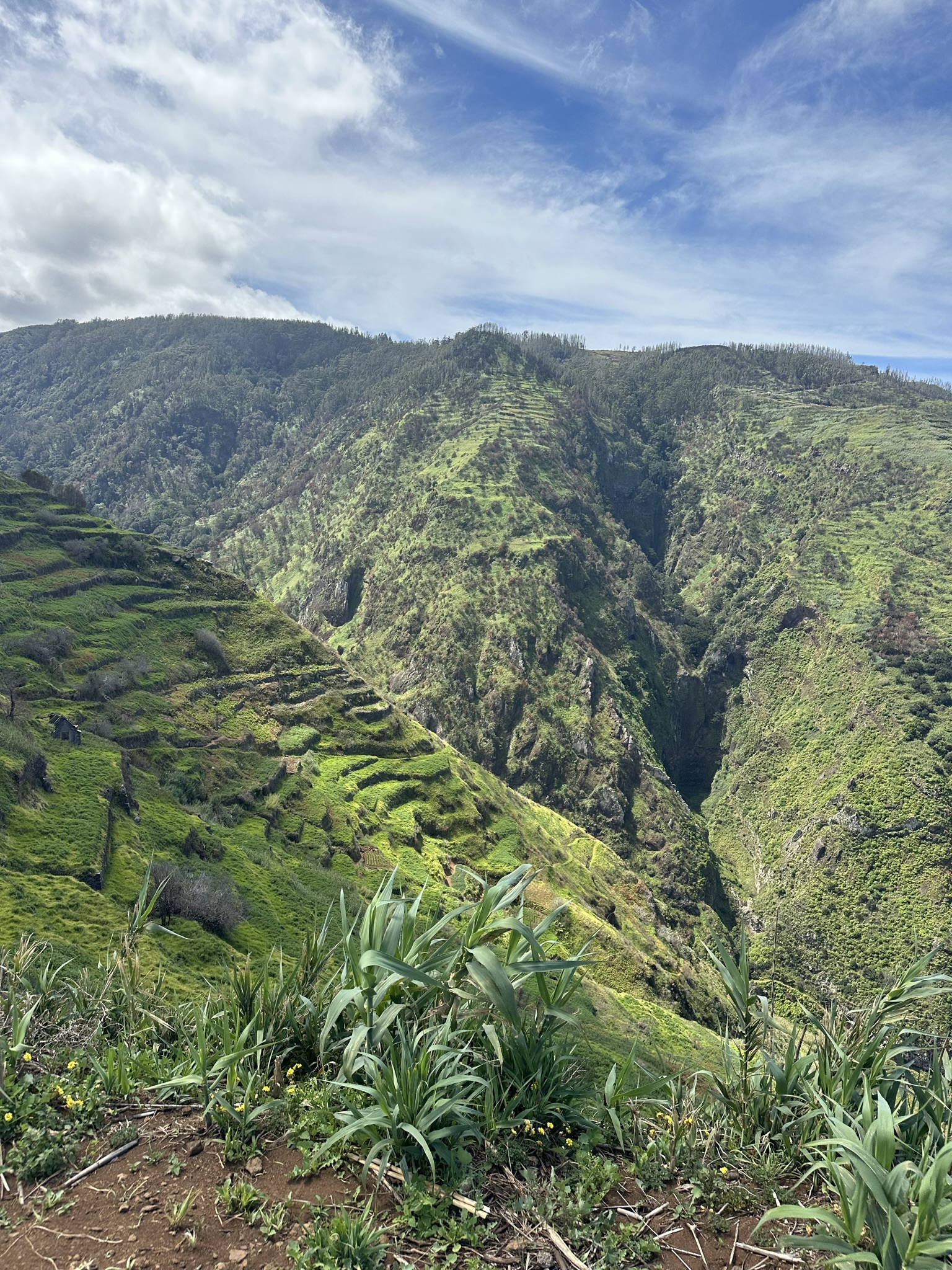 Miradouro do Ponta da Ladeira