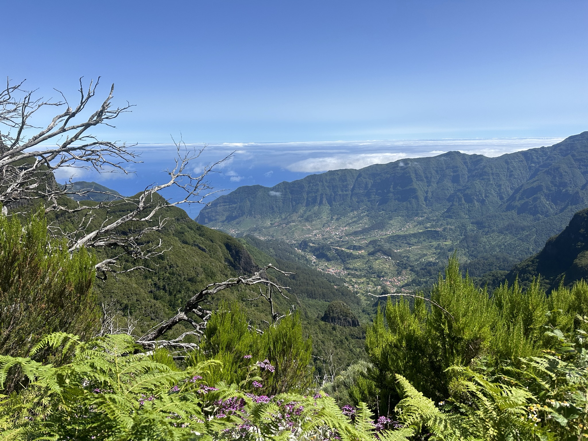 PR 17 - Caminho do Pináculo e Folhadal in Madeira - Outdoor & Adventure showing the main attraction and surrounding landscape (image 1 of 2)