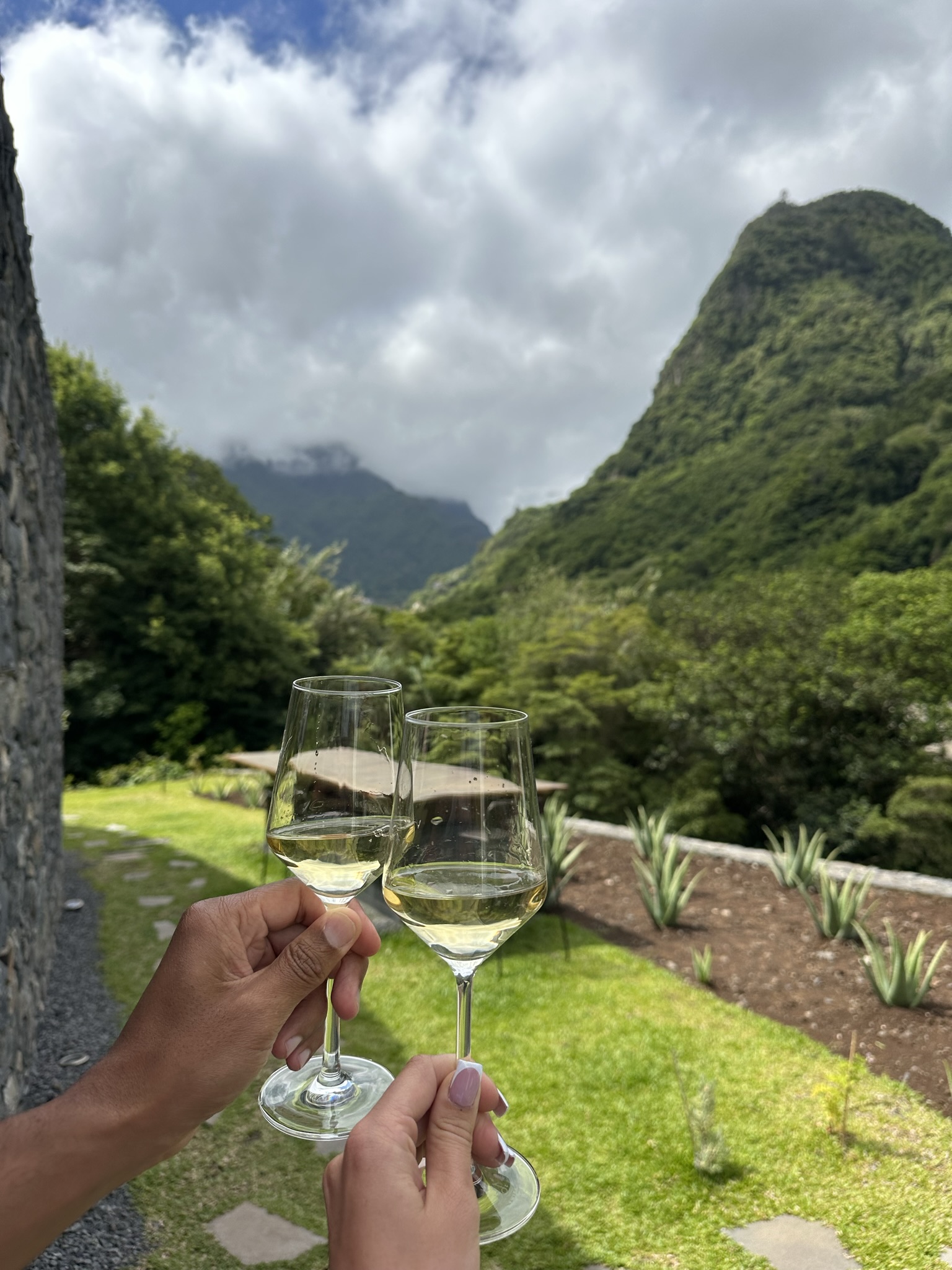 Terrabona Nature & Vineyards  in Boaventura - Food & Drink showing the main attraction and surrounding landscape (image 1 of 2)