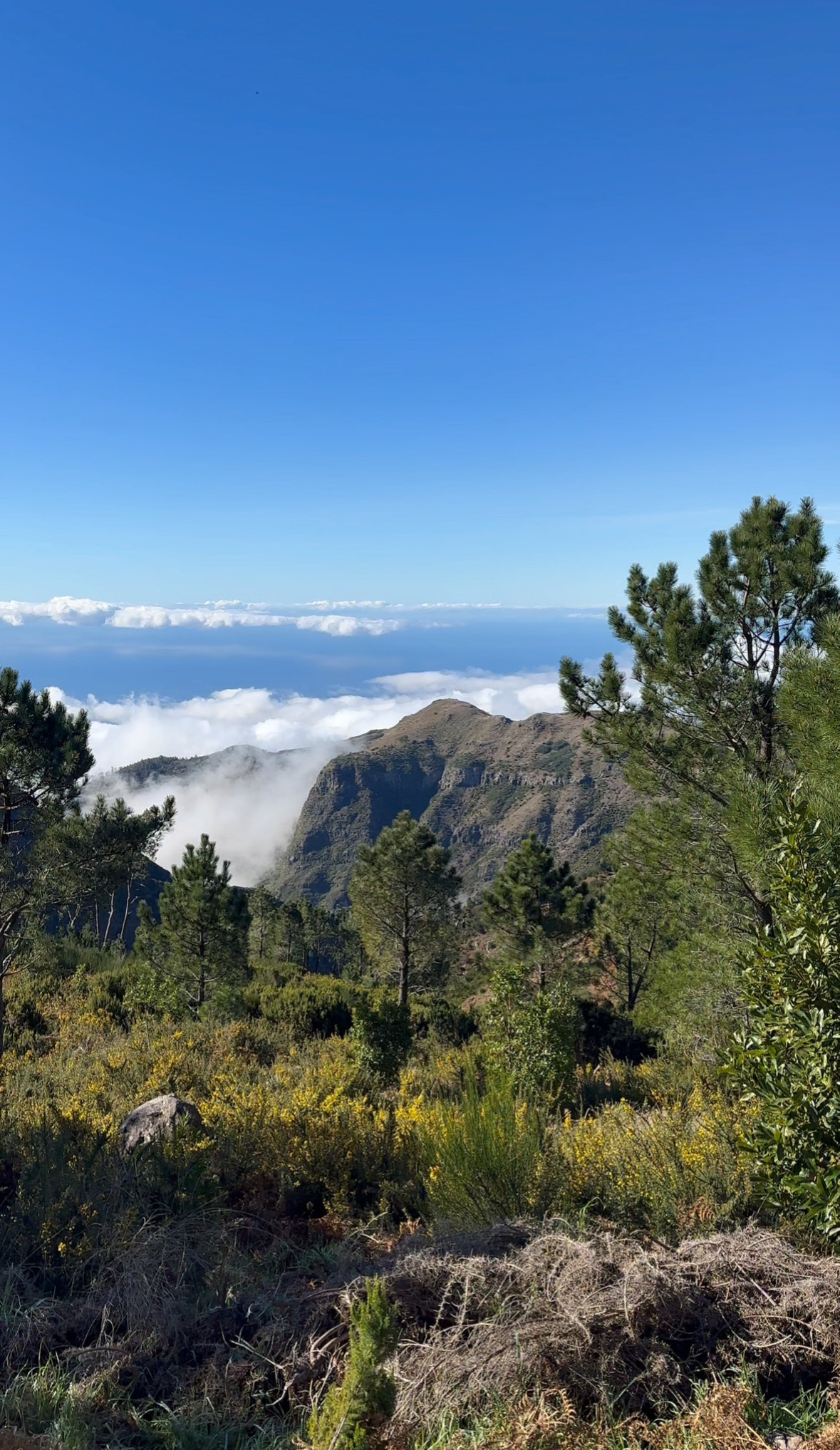 PR 3 - Vereda do Burro in Madeira - Outdoor & Adventure showing the main attraction and surrounding landscape (image 1 of 2)