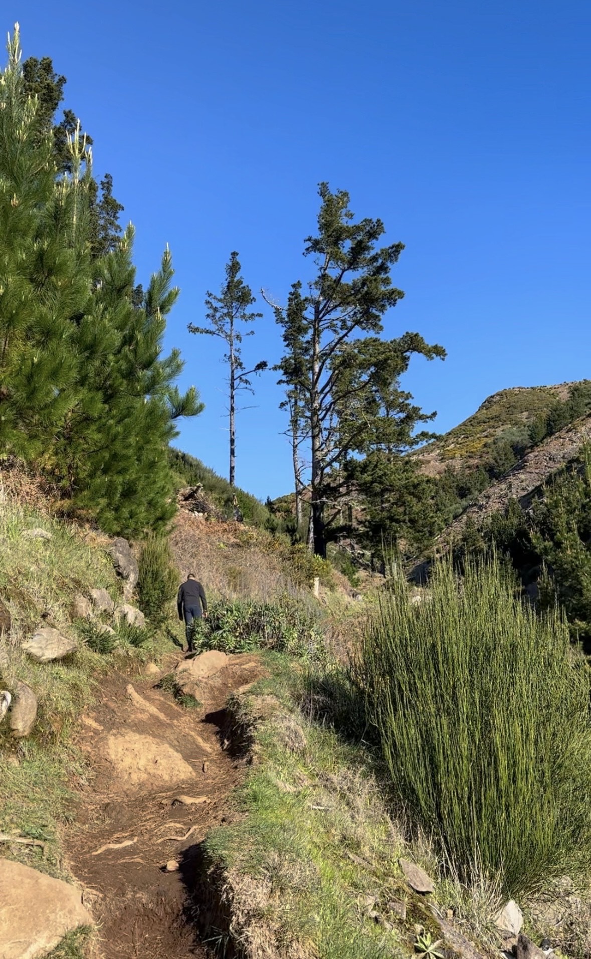 PR 3 - Vereda do Burro