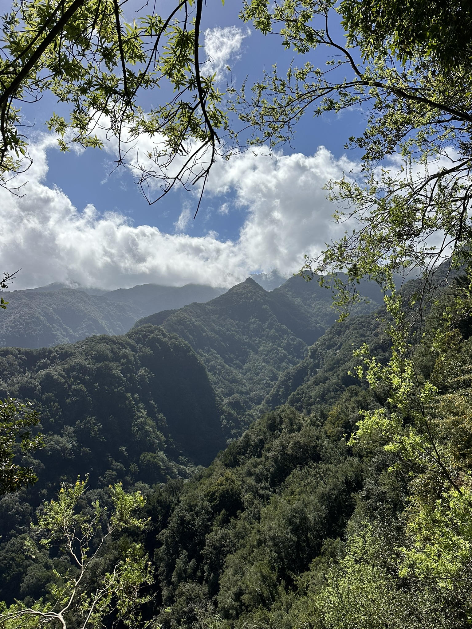 PR 18 - Levada do Rei