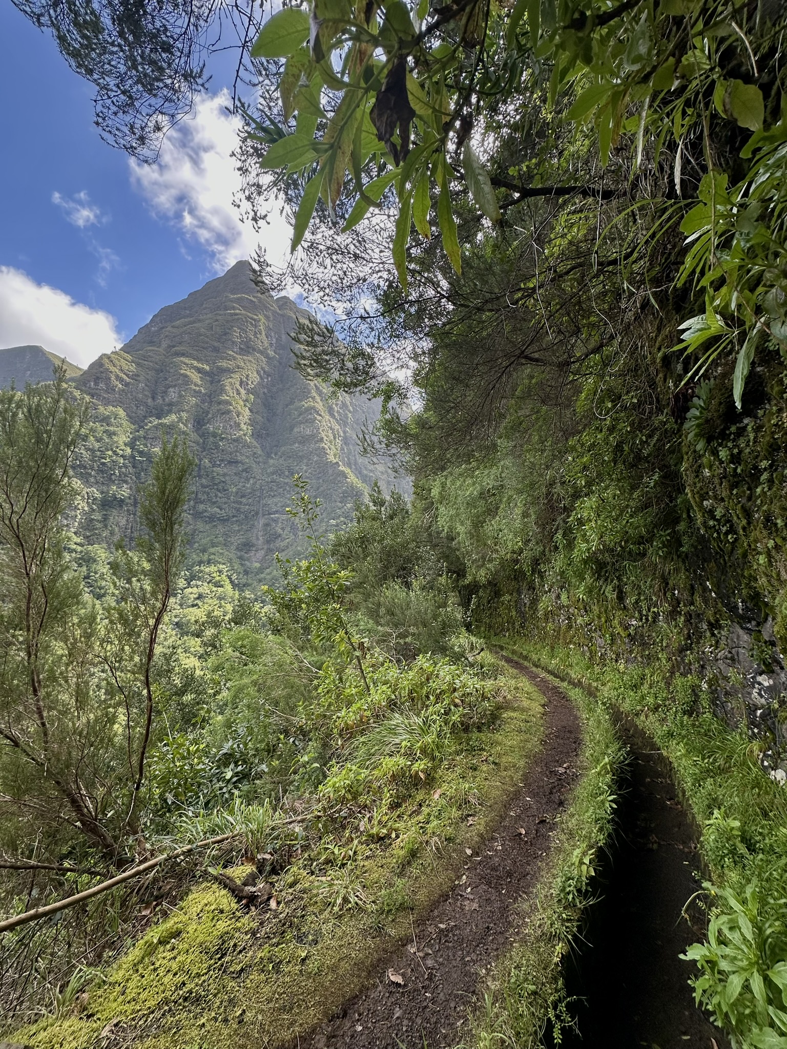 Levada dos Tornos in Boaventura - Outdoor & Adventure showing the main attraction and surrounding landscape (image 1 of 2)