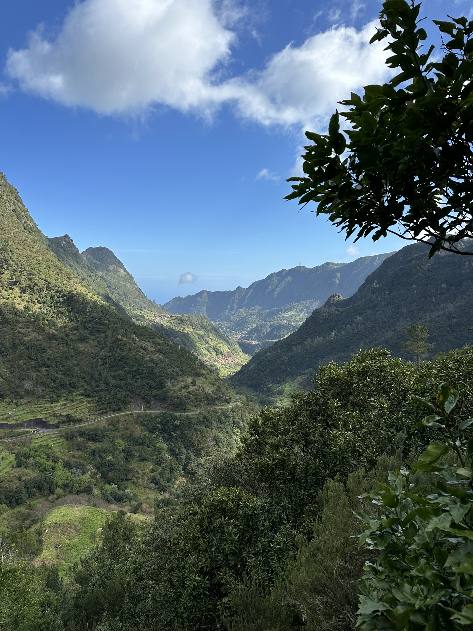 Levada dos Tornos (Boaventura)