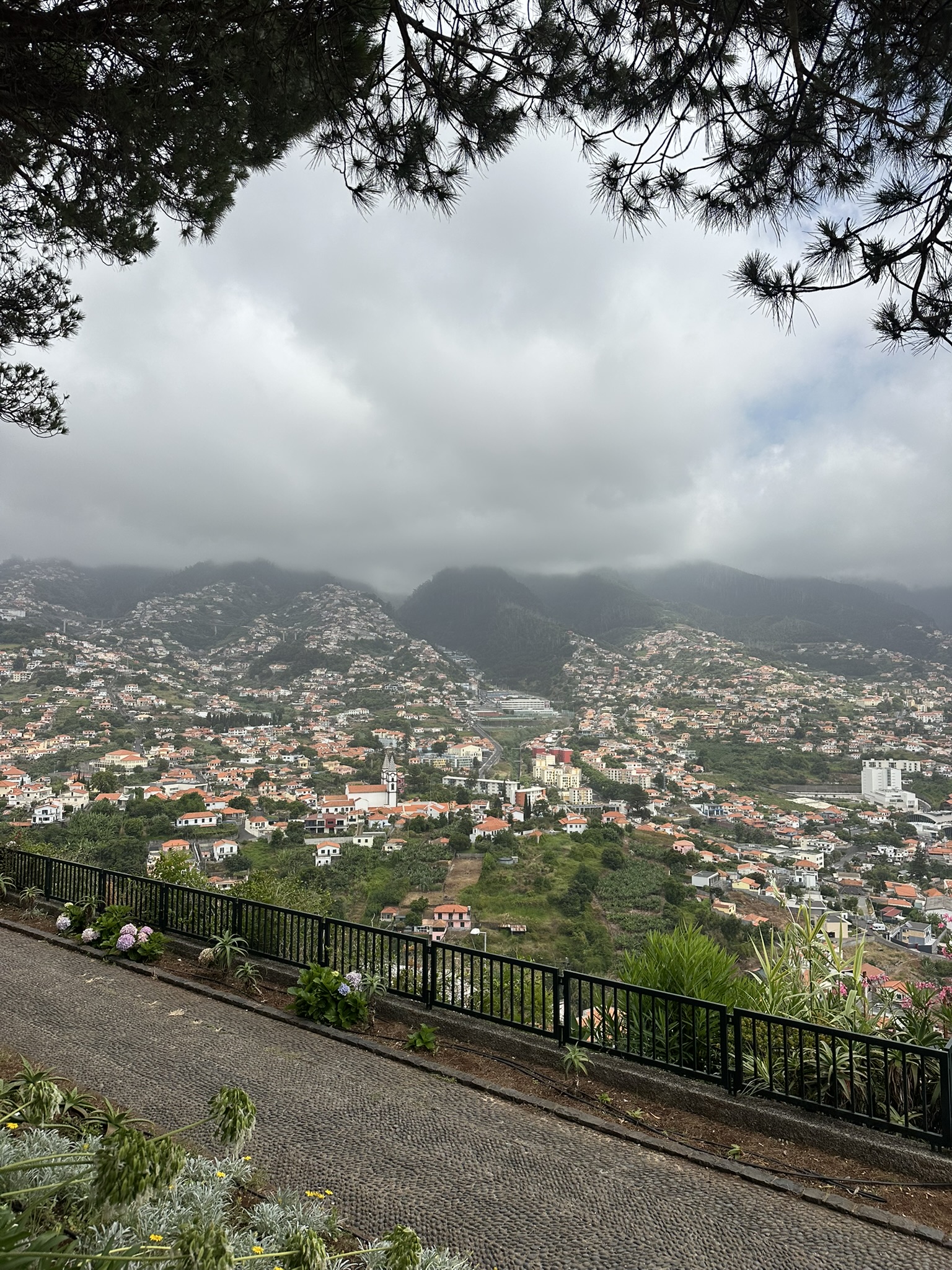 Miradouro Pico dos Barcelos in Funchal - Outdoor & Adventure showing the main attraction and surrounding landscape (image 1 of 2)