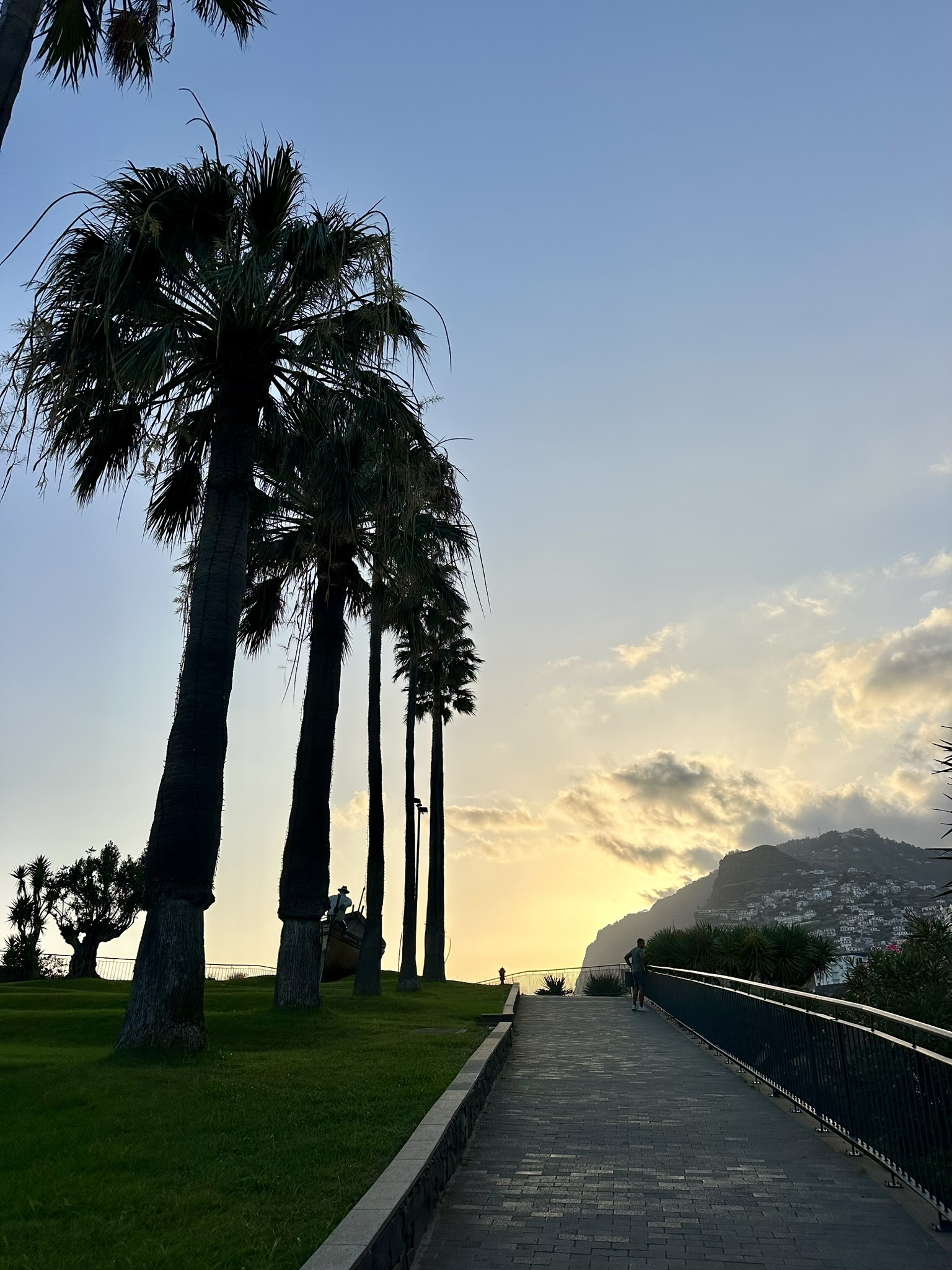 Ilhéu de Câmara de Lobos