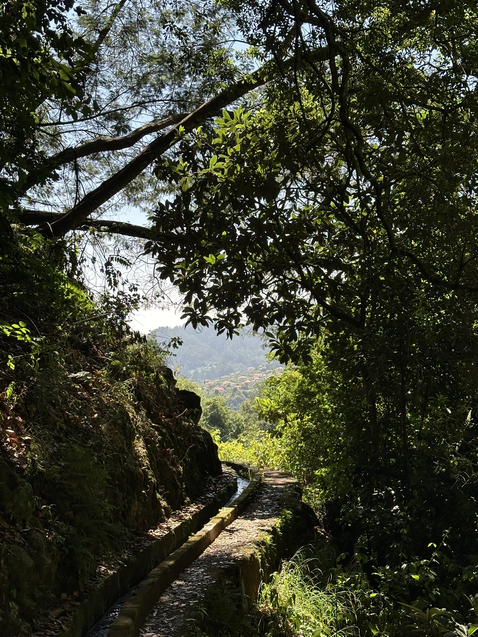 Água D'Alto Waterfall Trail