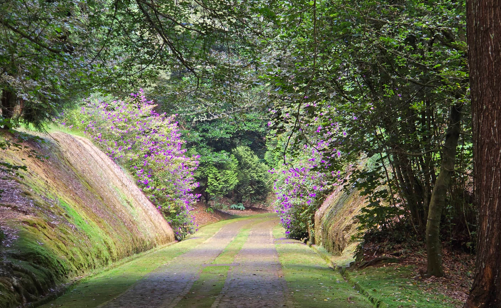 Quinta do Santo da Serra