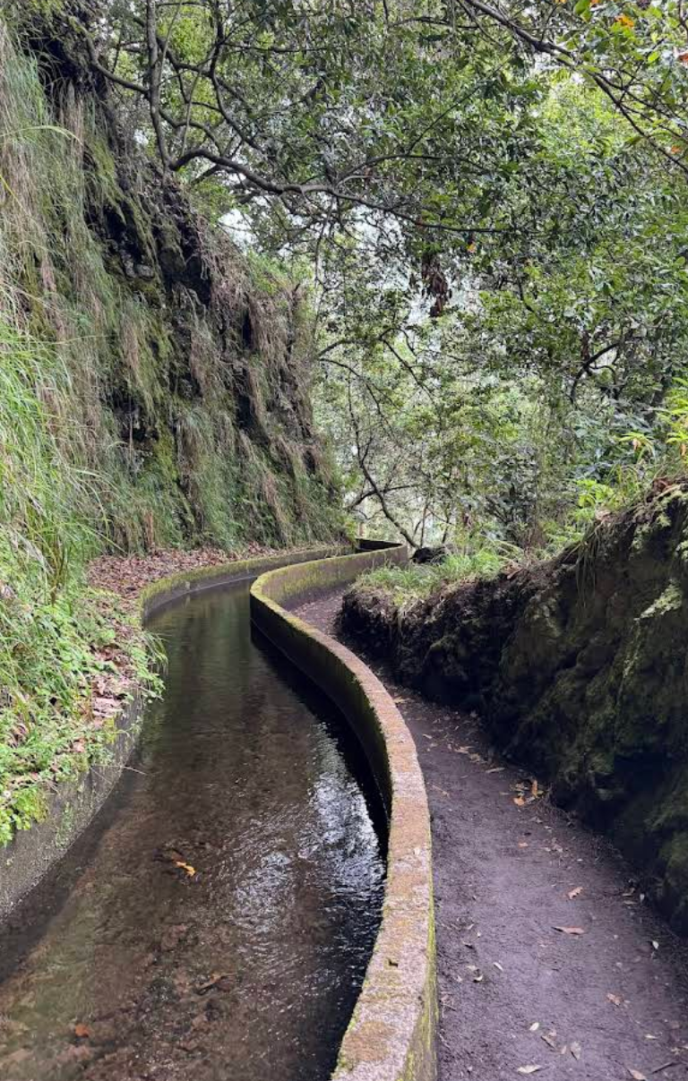 PR 16 - Levada Fajã do Rodrigues in São Vicente - Outdoor & Adventure showing the main attraction and surrounding landscape
