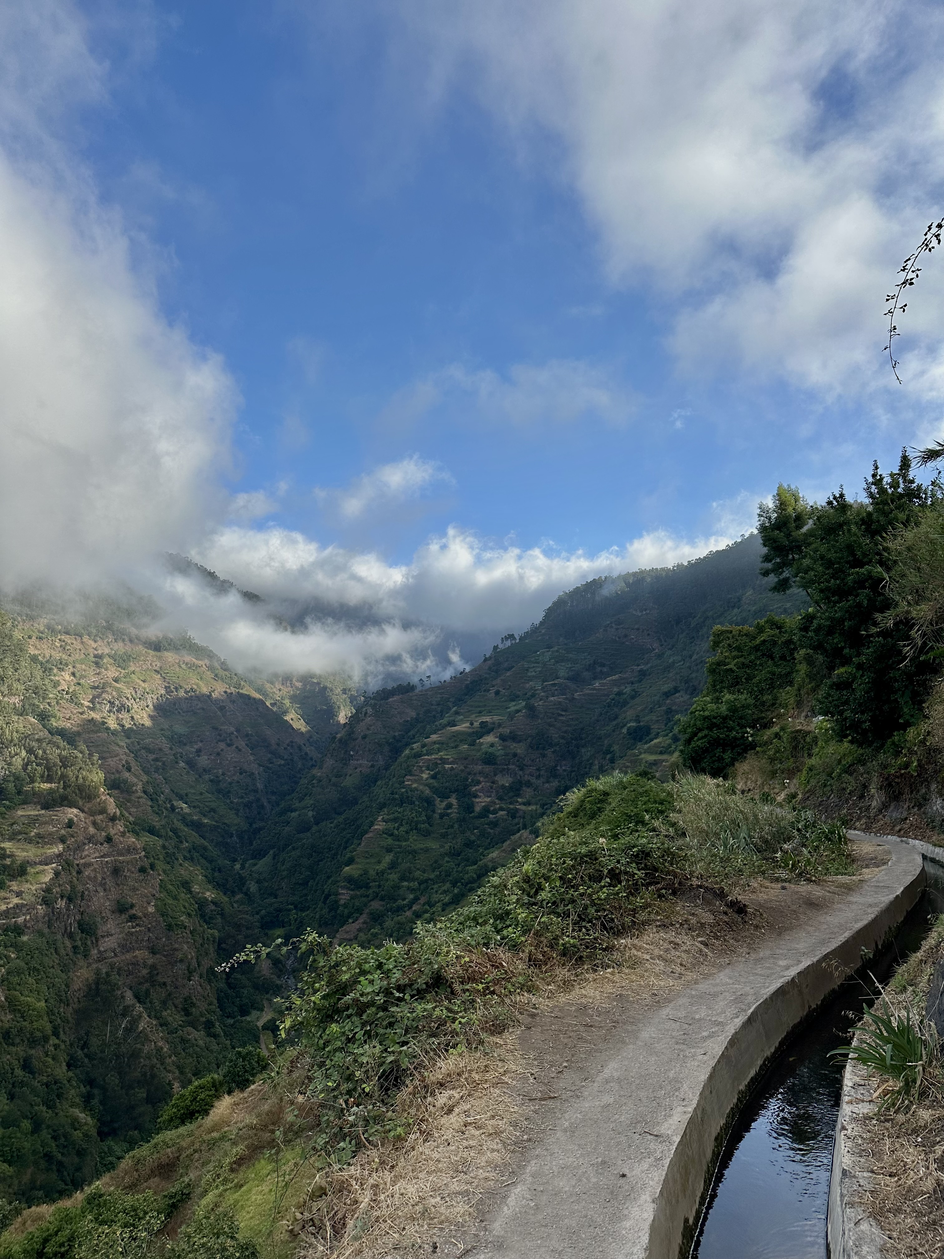Levada do Moinho - Levada Nova