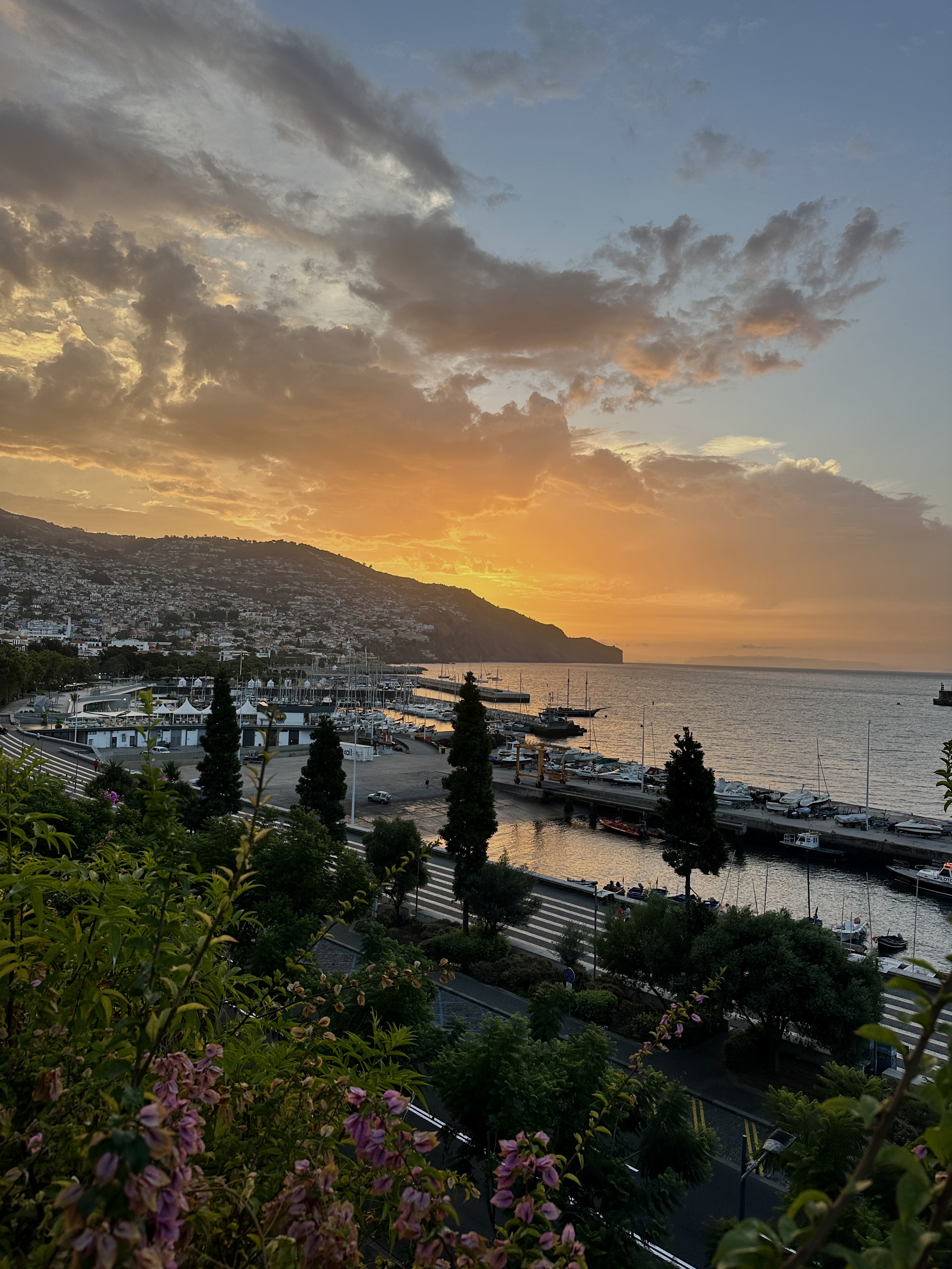 Santa Catarina Park Viewpoint