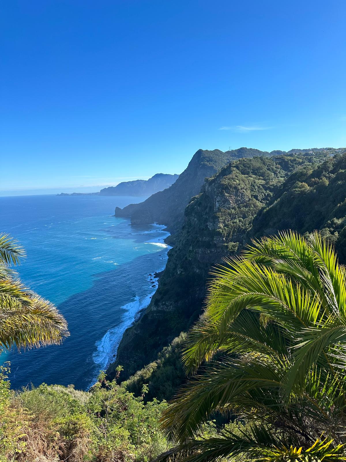 Quinta do Furão Viewpoint