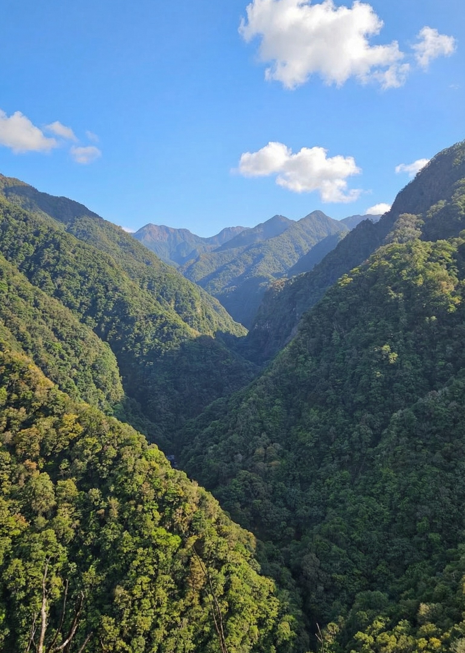 Levada da Ribeira da Janela