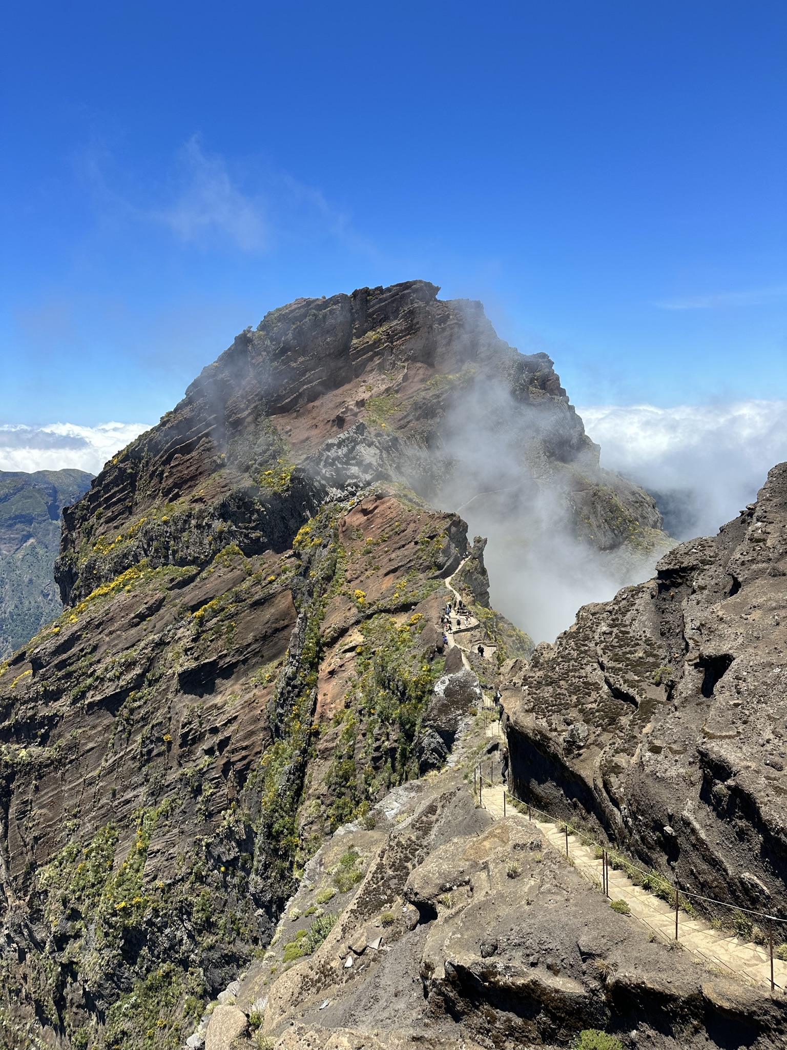 PR 1 - Vereda do Areeiro