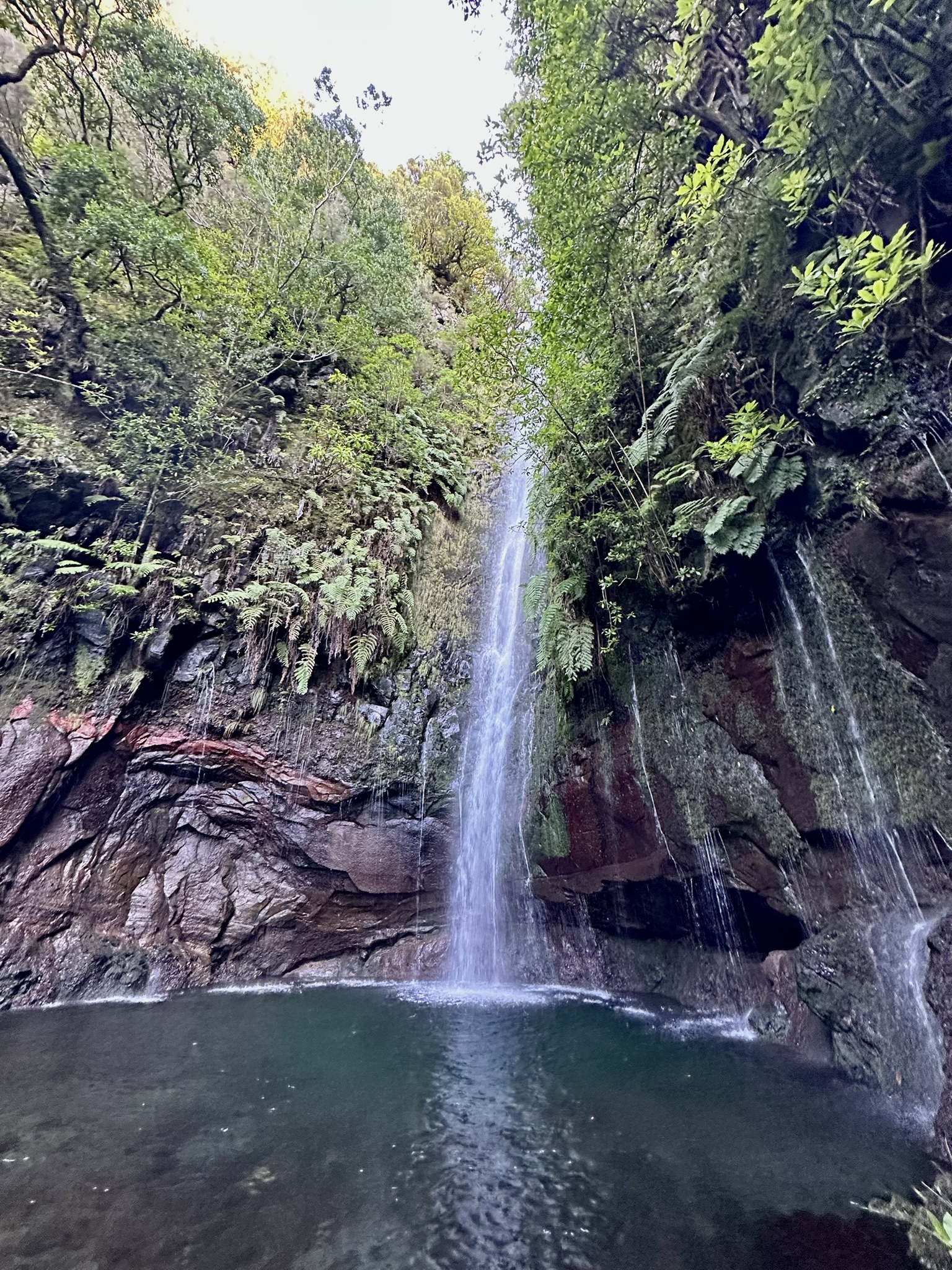 PR 6.1 - Levada do Risco