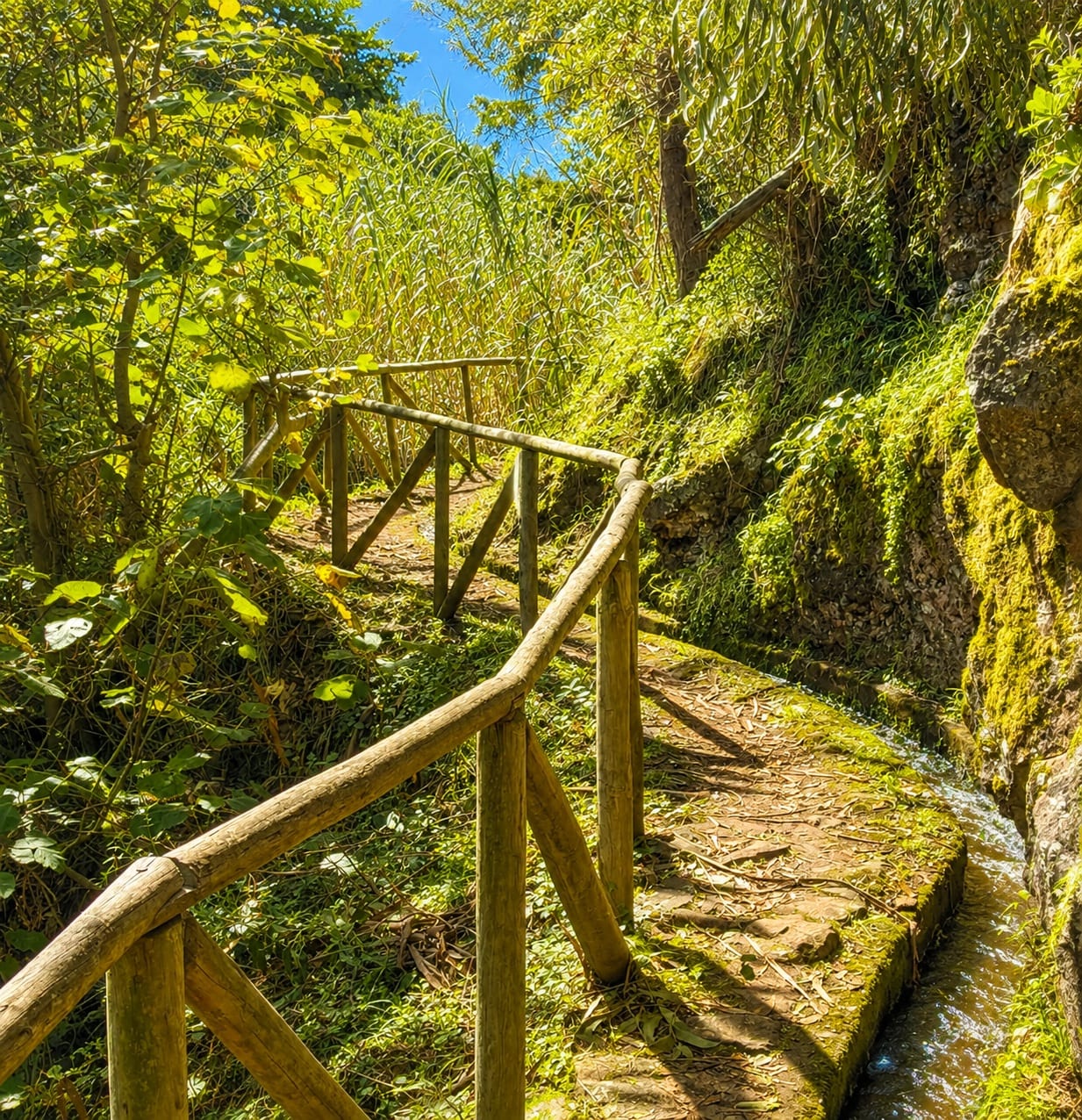 PR 23 - Levada da Azenha
