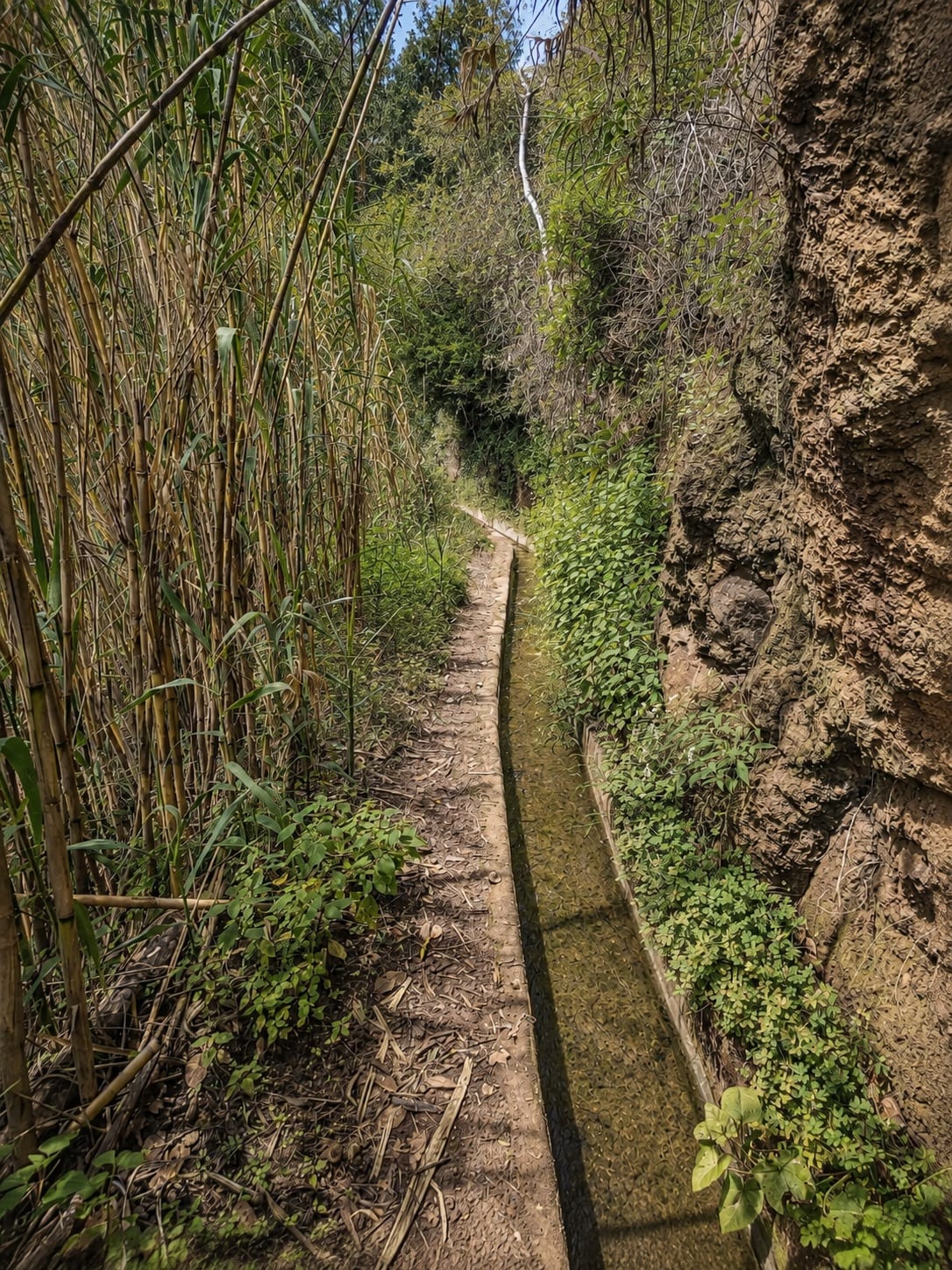 Levada do Caniço