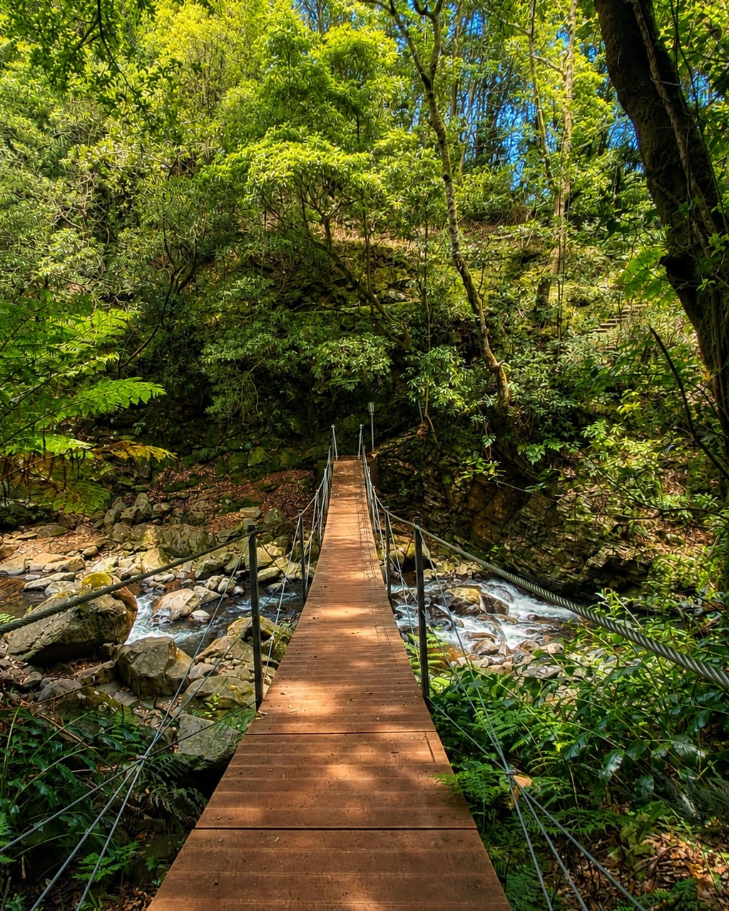 Levada de Santo da Serra
