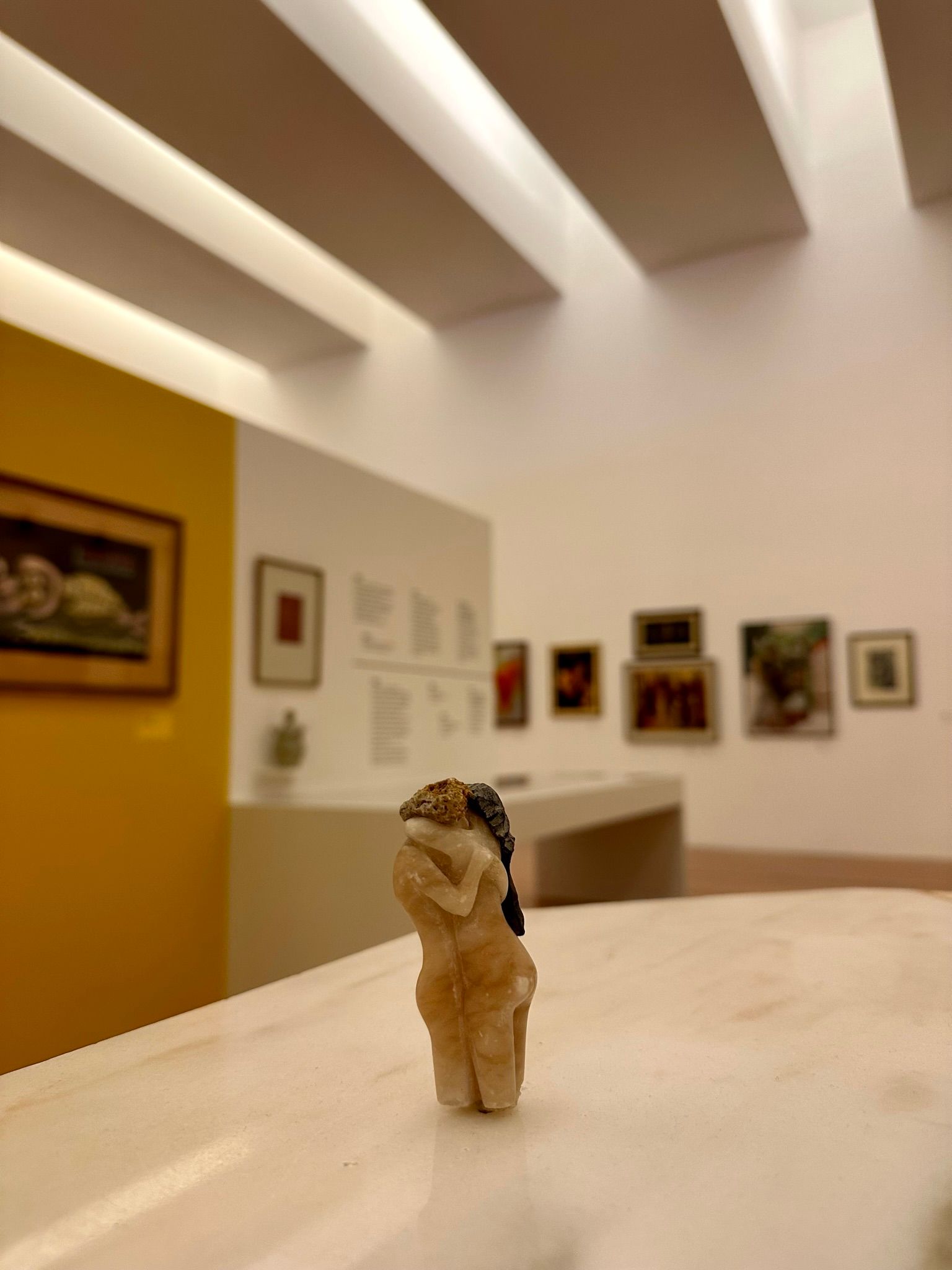 Museum of Contemporary Art - MUDAS