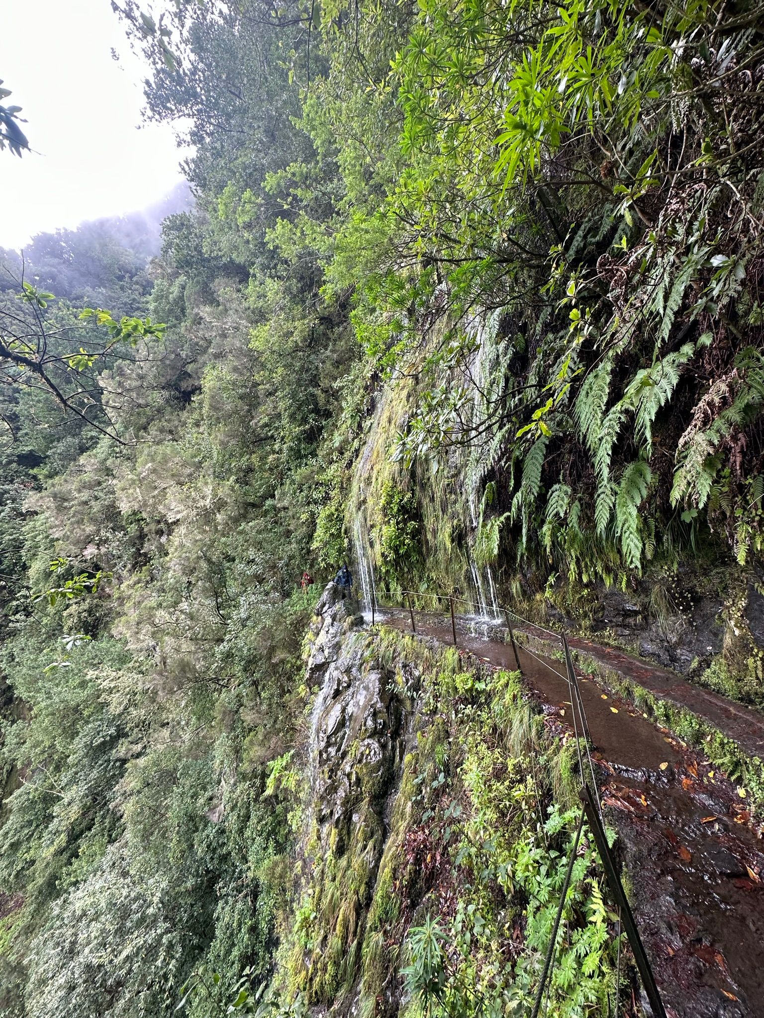 PR 9 - Levada do Caldeirão Verde
