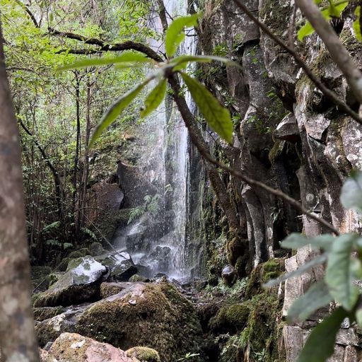 PR 14 - Levada dos Cedros