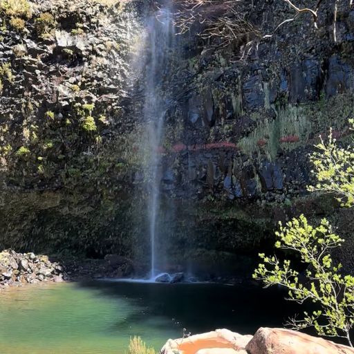 PR 6.3 - Vereda da Lagoa do Vento