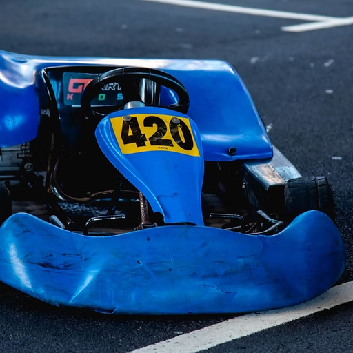 Go Kart Madeira
