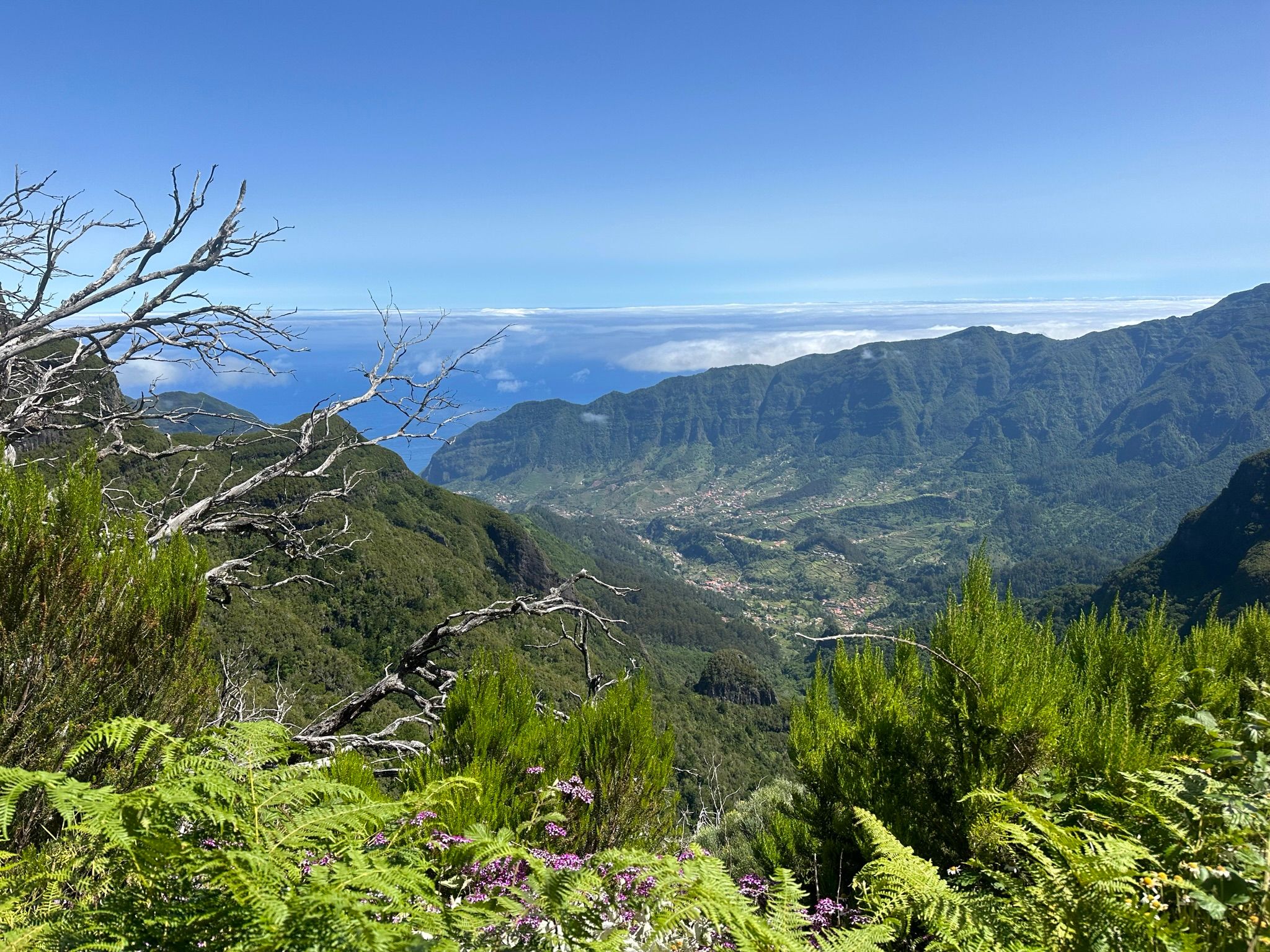 PR 17 - Caminho do Pináculo e Folhadal