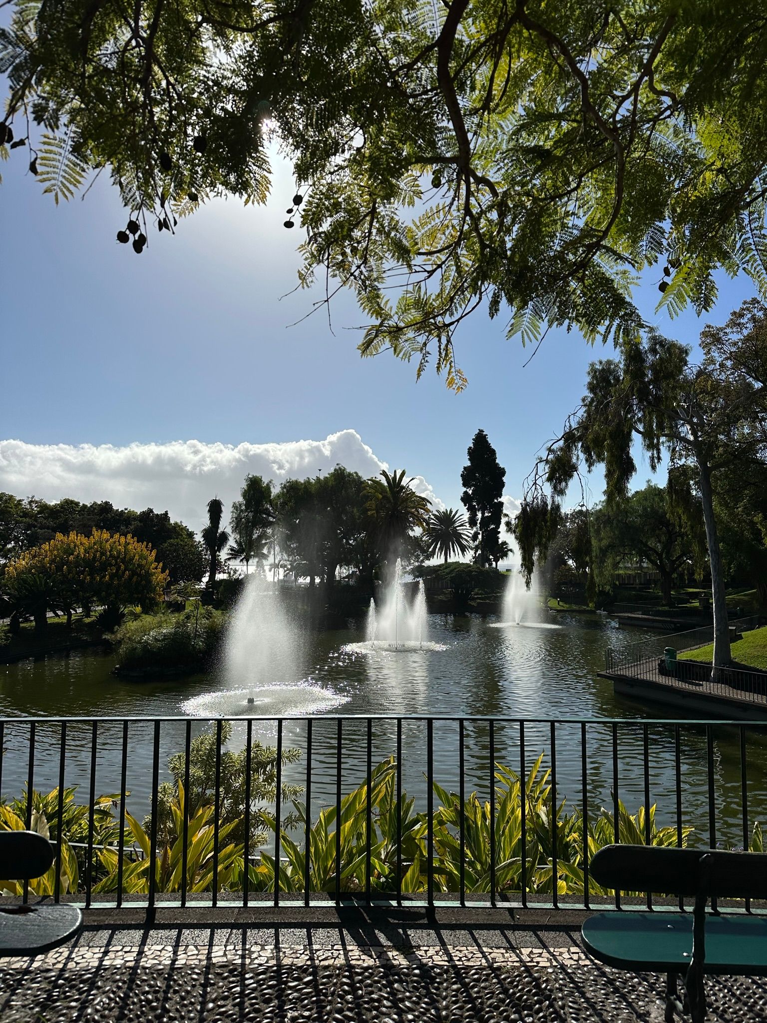 Parque de Santa Catarina