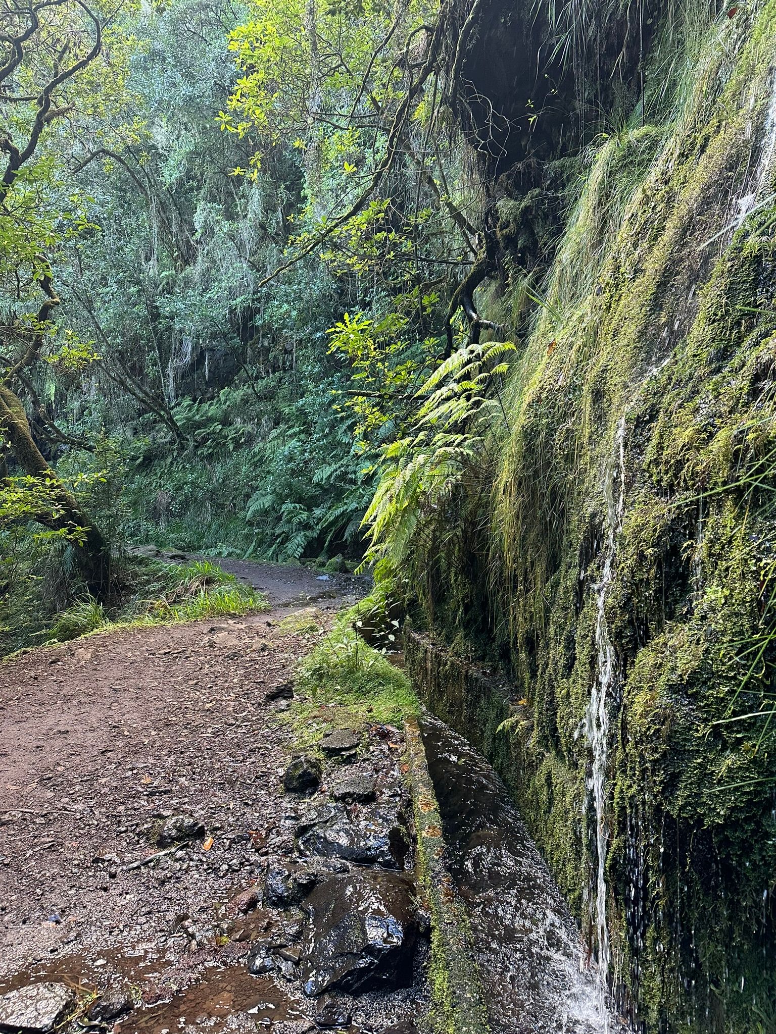 PR 10 - Levada do Furado