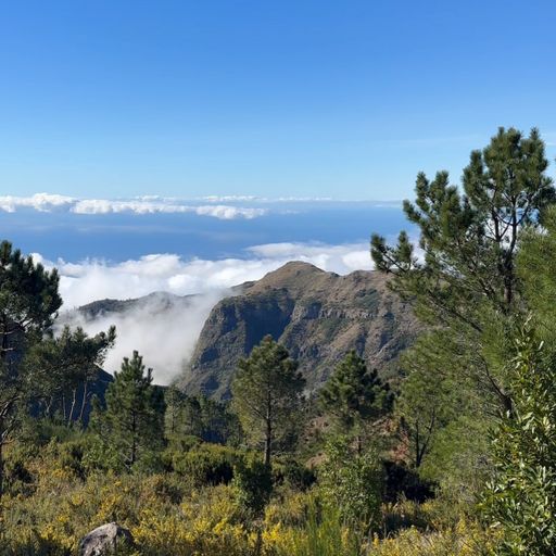 PR 3 - Vereda do Burro