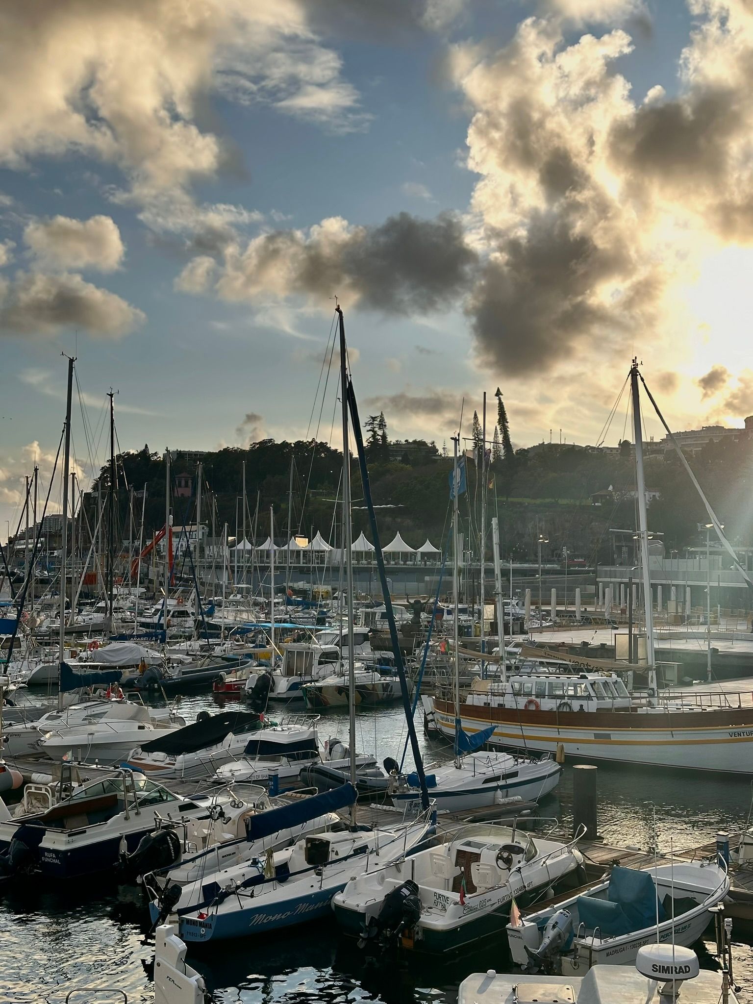 Marina do Funchal 