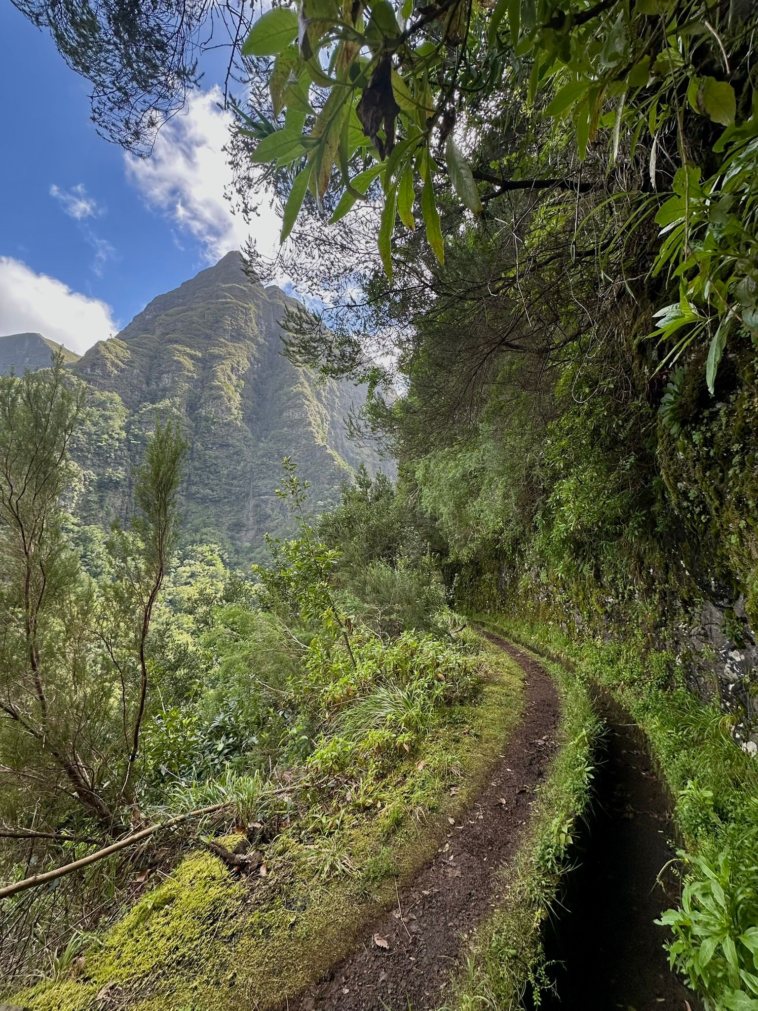 Levada dos Tornos (Boaventura)