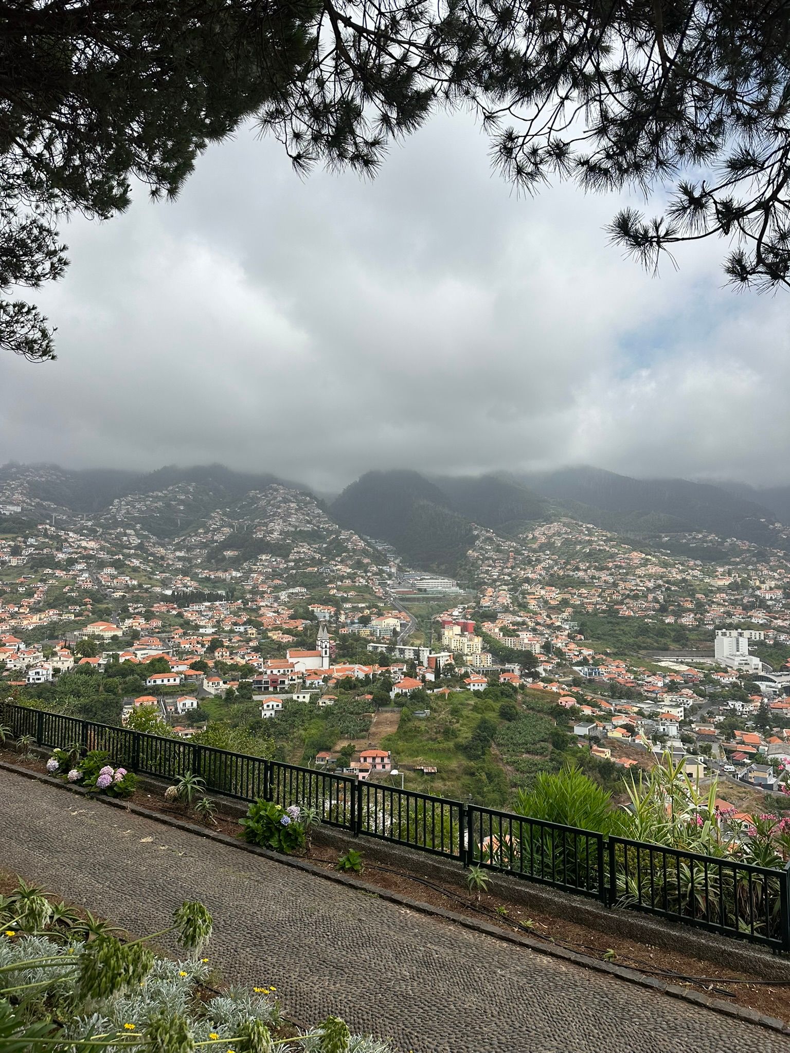 Miradouro Pico dos Barcelos