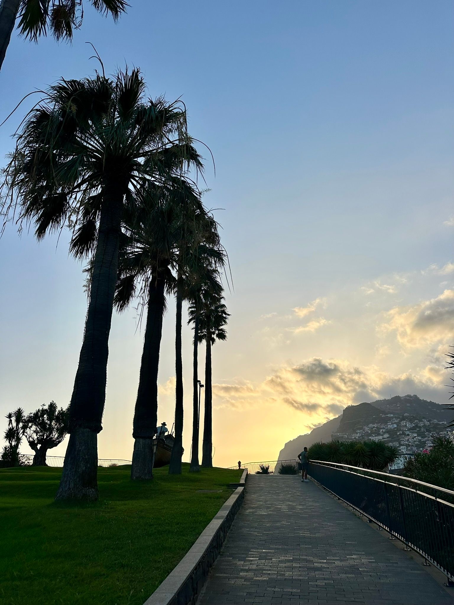 Ilhéu de Câmara de Lobos