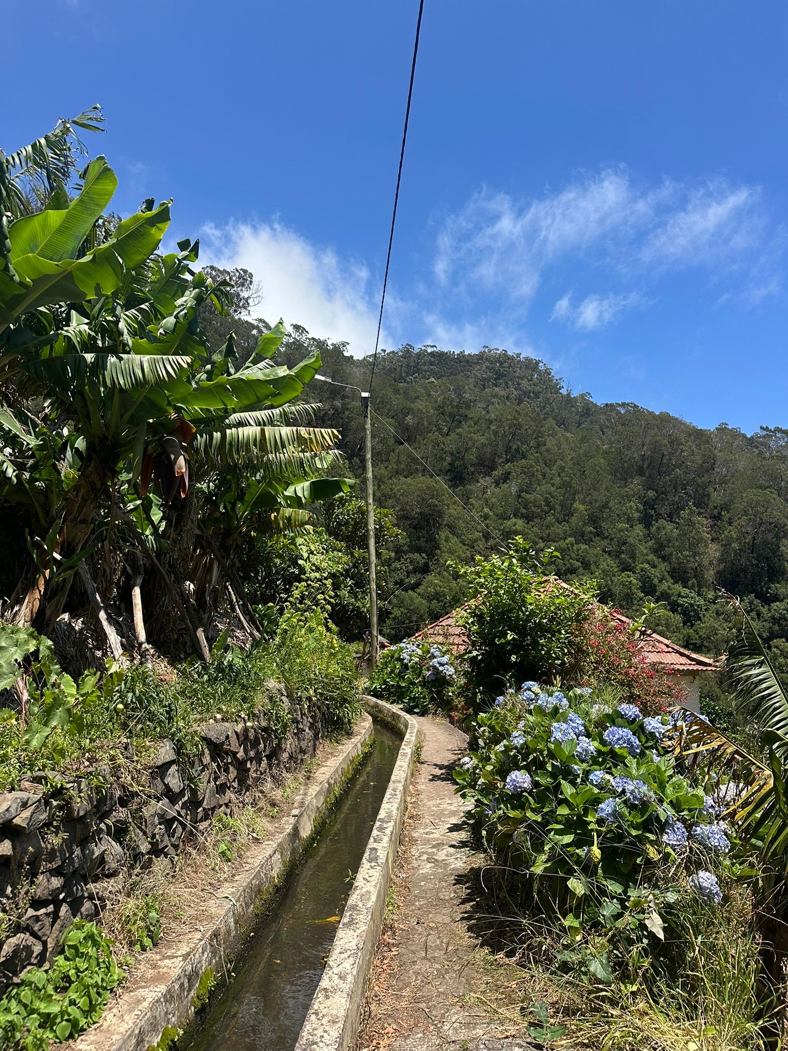 Levada dos Maroços