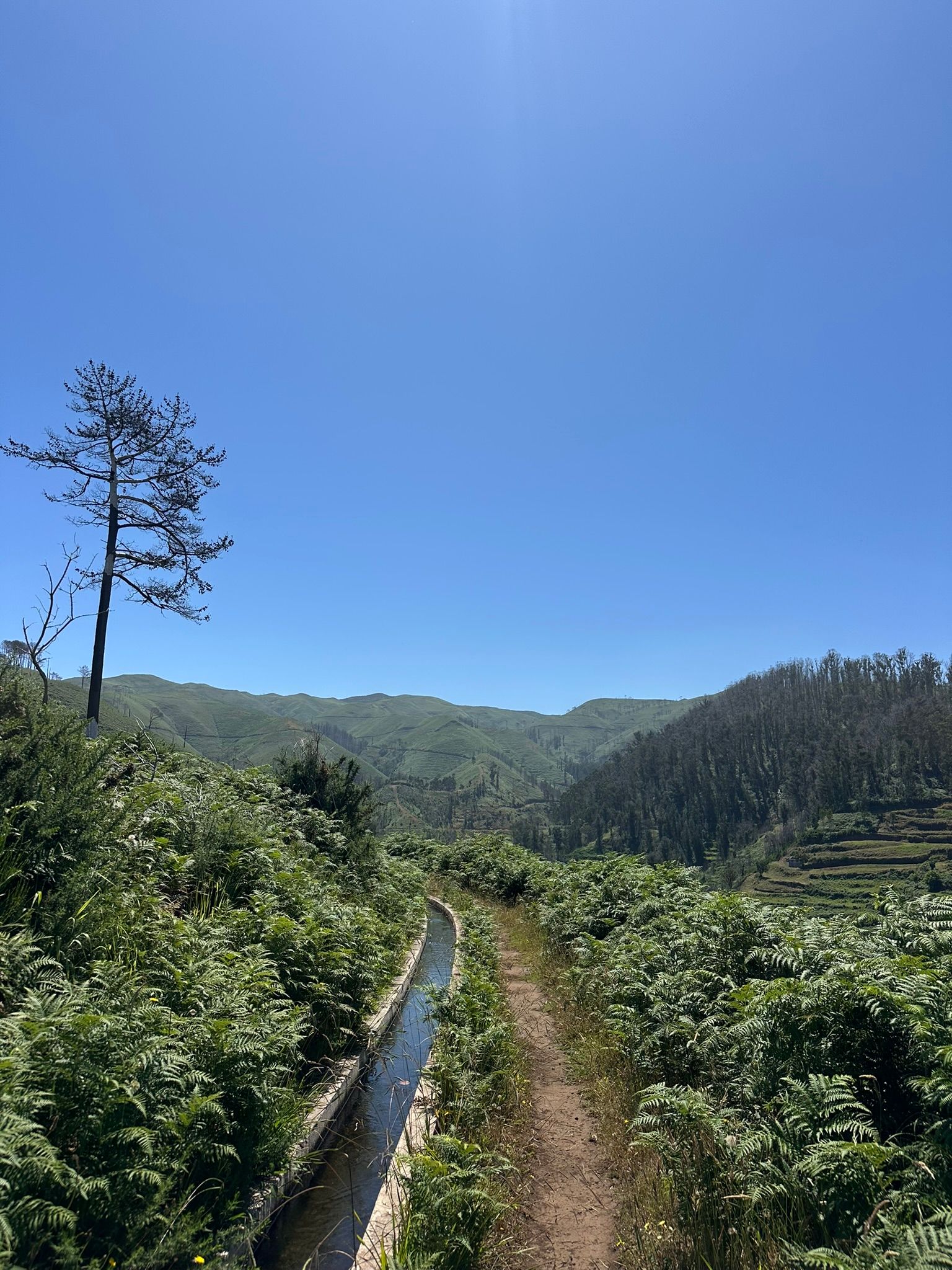 Levada da Ribeira da Vaca 