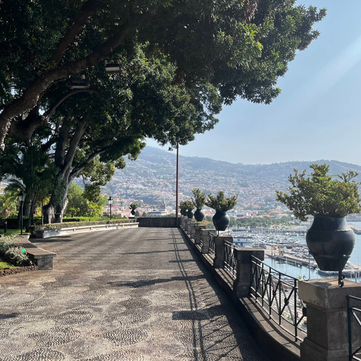 Quinta Vigia Viewpoint