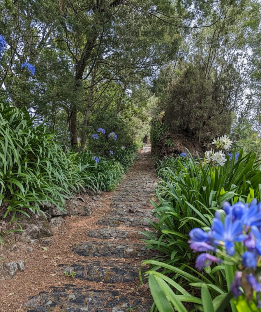 Miradouro do Cruzeiro