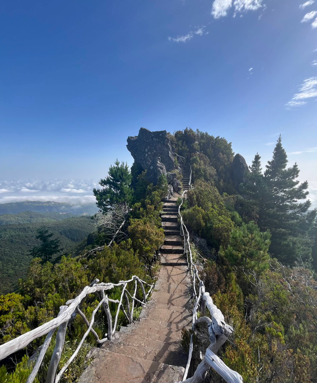 Miradouro do Pico Redondo